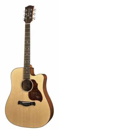 Richwood D-20-CE Acustic Guitar