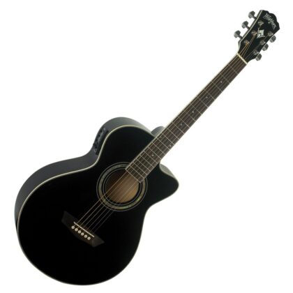 Washburn Festival Series | EA12B