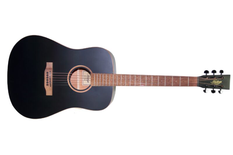 Hudson HD-100S